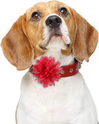 20 Pieces Dog Collar Flowers Pet Flower Bow Ties Multi-Color Dog Charms Flower for Puppy Dog Collar Grooming Accessories (10 Cm/ 4 Inch)